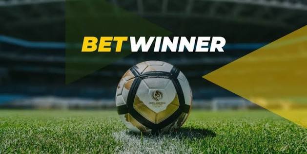 Discovering BetWinner Your Ultimate Gambling Platform