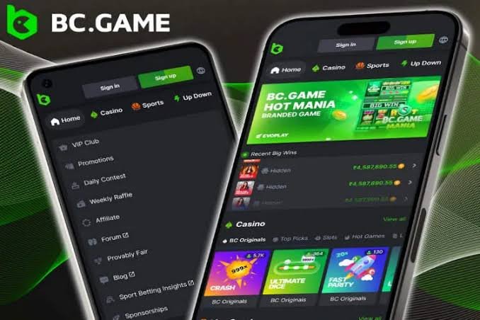 Kebijakan Privasi BC Game Indonesia Melindungi Data Anda